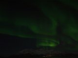 Aurora 5