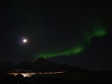Aurora 8